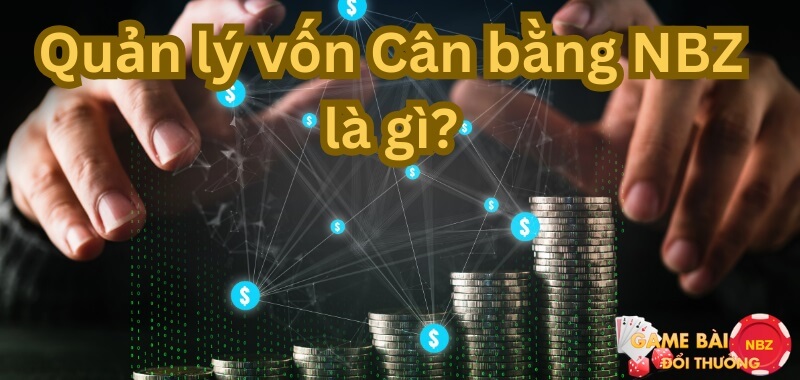 quản lý vốn cân bằng nbz là gì?