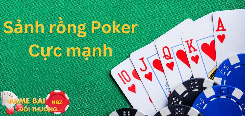 Quy định bài Poker